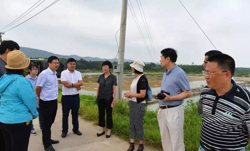 大連市水產專家調研合浦大蠔 漁業產業發展情況